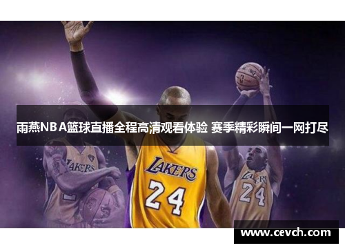 雨燕NBA篮球直播全程高清观看体验 赛季精彩瞬间一网打尽