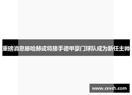 重磅消息滕哈赫或将接手德甲豪门球队成为新任主帅